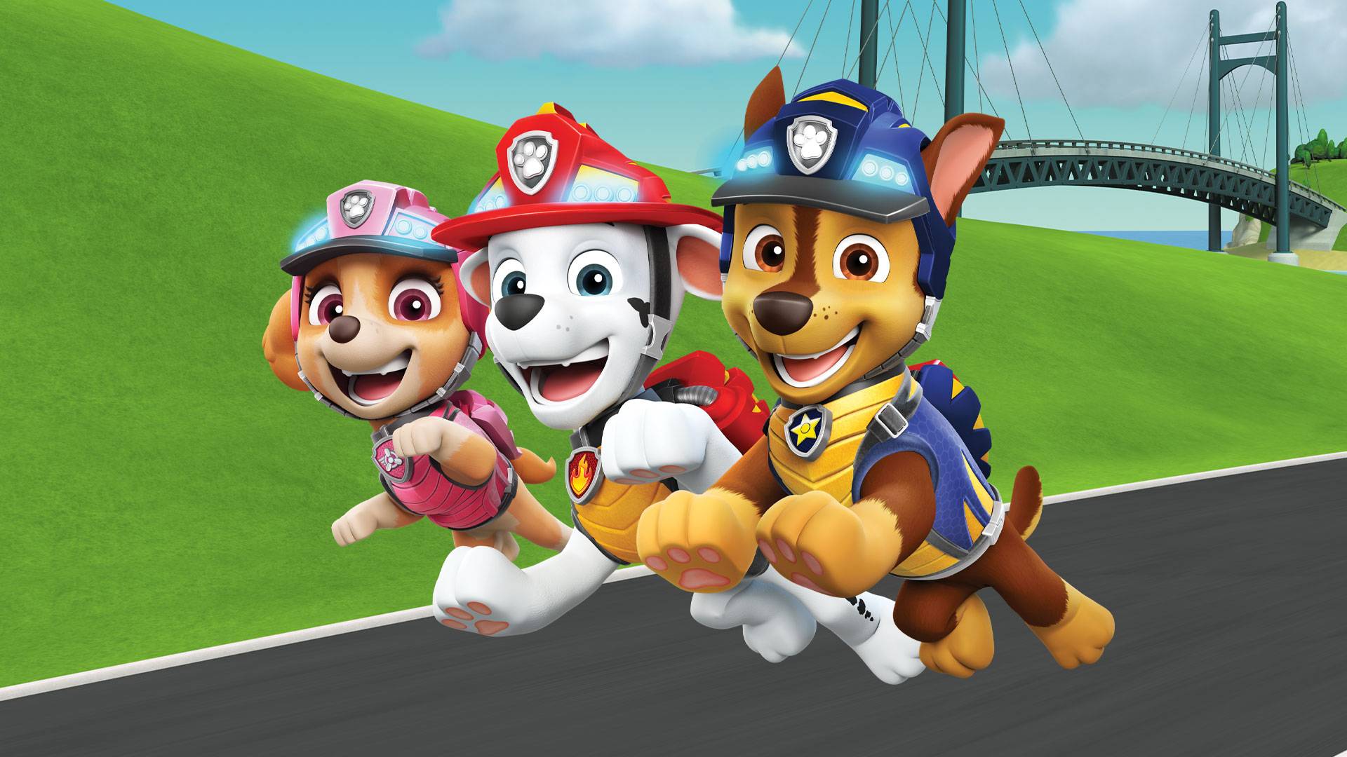 Paw Patrol S08 B24